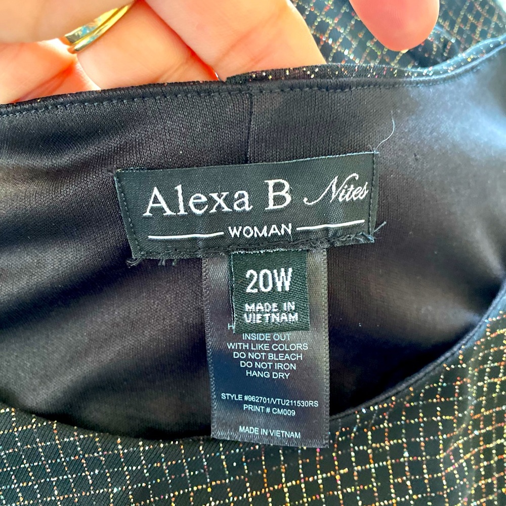 ALEXA B Nites 🖤BLACK🖤 FORMAL WOMEN DRESS PLUS SIZE 20W EUC - Picture 10 of 11